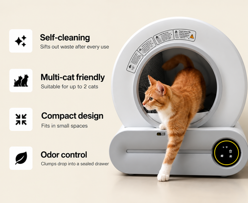 Cat sitting inside the Little Lux smart litter box, self-cleaning feature